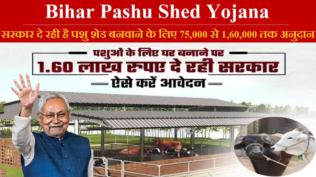 Bihar Pashu Shed Yojana