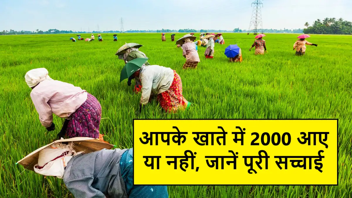 PM Kisan 20th Kist Status Check